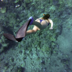 snorkeling_1